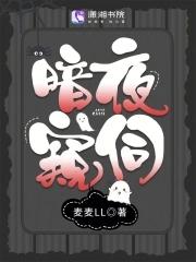 暗夜窥伺起点