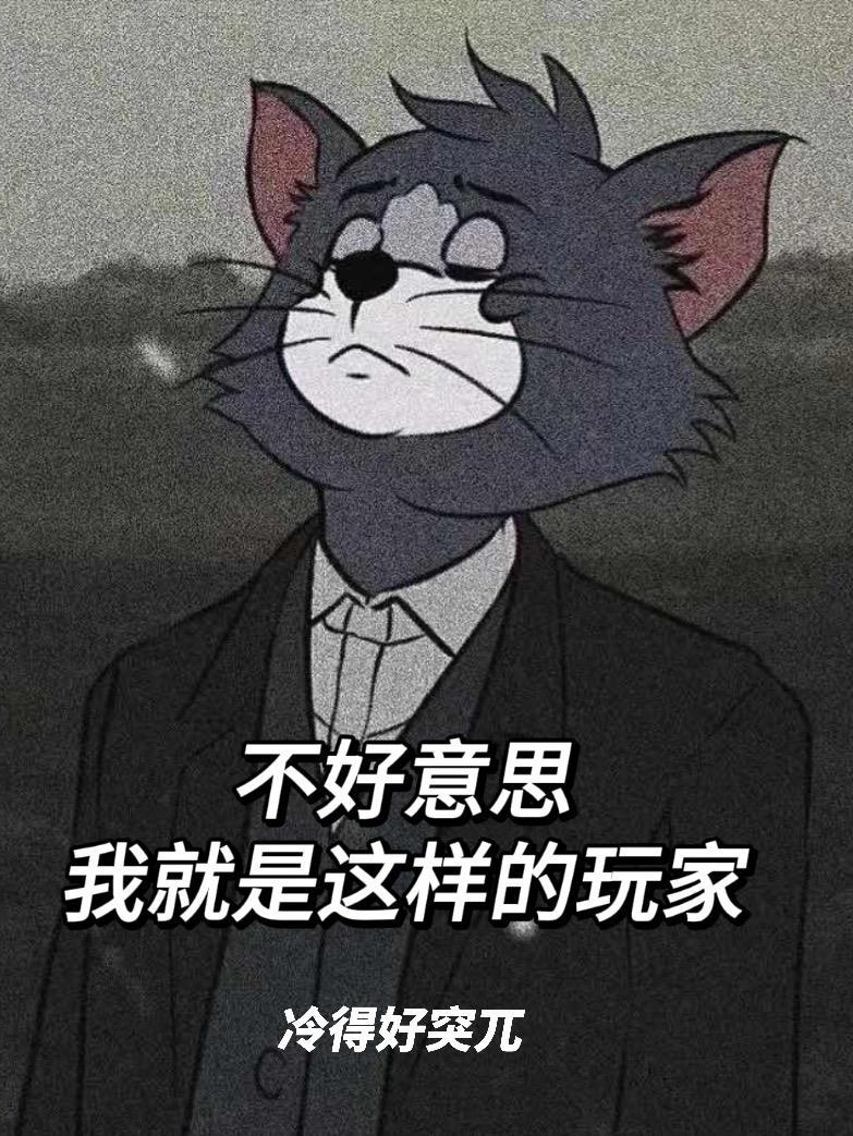 我就是这样的人是什么意思