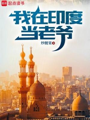 我在印度当老爷无错版