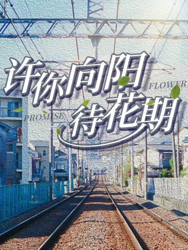 许你向我看电视剧开拍