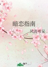 暗恋指南by风流书呆txt