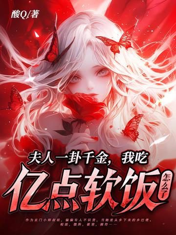 一夫人总想气我