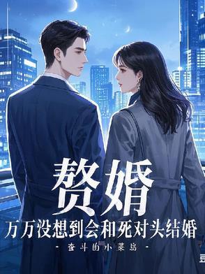 赘婿与女主