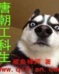 唐朝工科生无弹窗