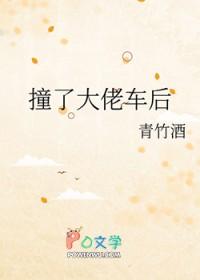 撞了大佬车后青竹酒免费阅