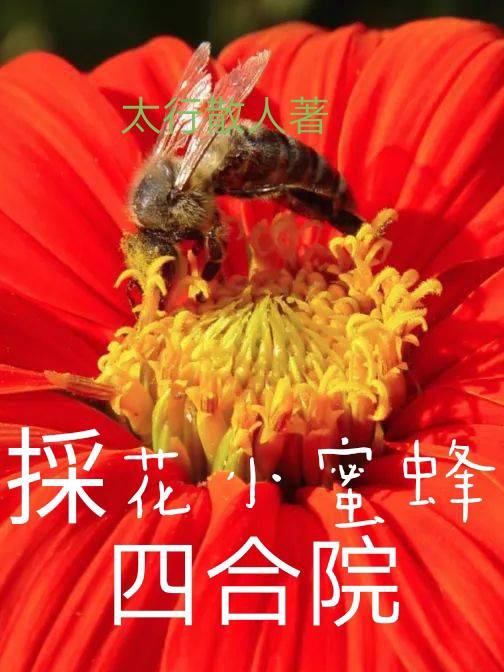 小蜜蜂采花蜜图