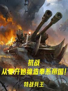抗战开局一个美械团