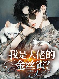 男主是叔叔辈的现言总裁文