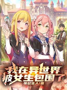 我在异世界面临辅助