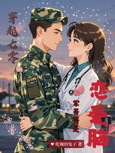 七零娇宠小军嫂风火家人