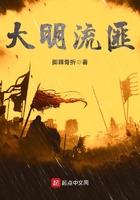 大明流匪txt全集