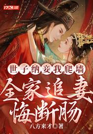 世子宠妾手札书包