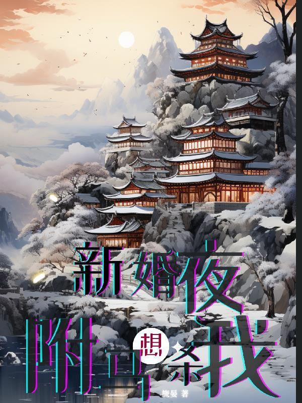驸马苏恒新婚夜